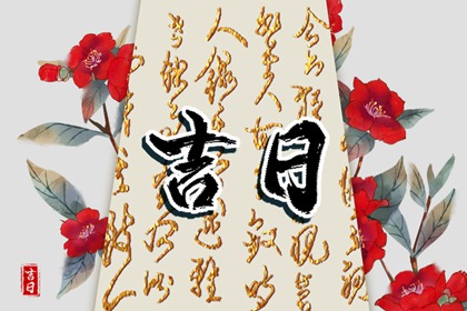 宜项后括号啥意思